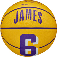 Los Angeles Lakers Lebron James