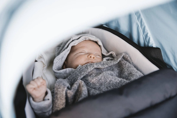 Thule Shine - Gondola