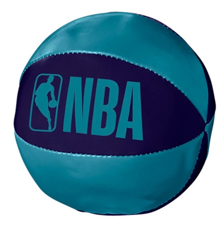 WILSON Charlotte Hornets Mini Tablica do koszykówki