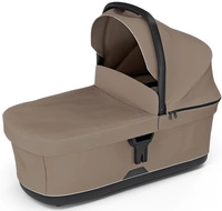 Tinted Taupe