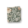 Pimpernel