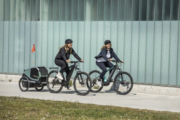 Przyczepka rowerowa dla psa - Thule Bexey M do 35 kg - Haze green