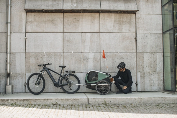 Przyczepka rowerowa dla psa - Thule Bexey M do 35 kg - Haze green