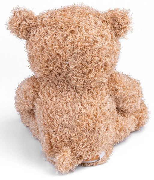 DUMEL Miś Misio akuku a kuku mówi po polsku interaktywny