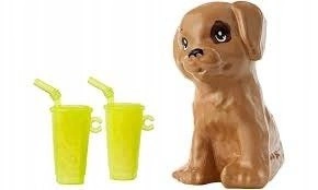 MATTEL BARBIE I KEN NA SPACERZE + PIESEK FTB72