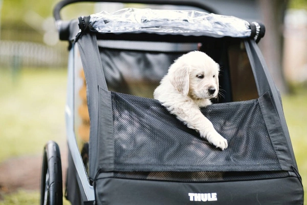 Thule Courier Dog Trailer Kit Zestaw dla psa do Thule Courier