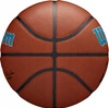 WILSON Charlotte Hornets NBA Team Alliance 7 Piłka do koszykówki