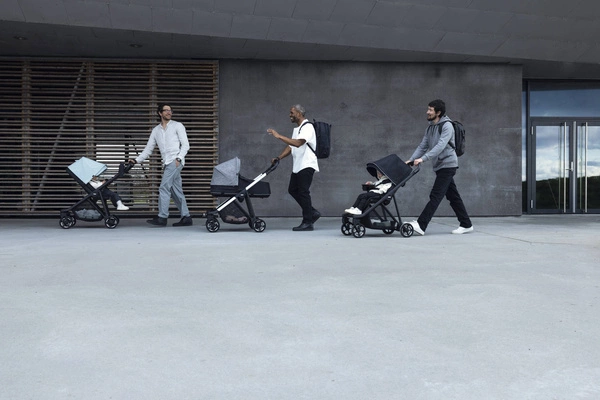 Thule Shine - Gondola