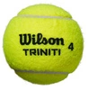 WILSON TRINITI CLUB All Court PIŁKA DO TENISA 1szt