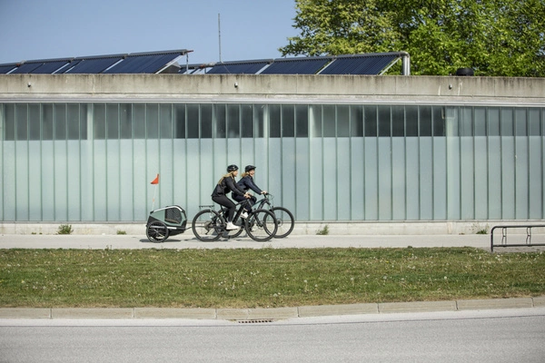 Przyczepka rowerowa dla psa - Thule Bexey L do 45 kg - Haze green