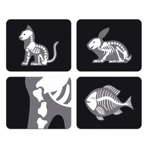 Janod - Zestaw weterynarza z 10 akcesoriami 3+