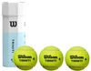 WILSON Triniti All Court PIŁKI DO TENISA 3szt