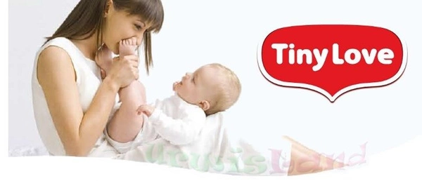 Tiny Love Tiny Smarts HIPCIO HARRY TL11061000