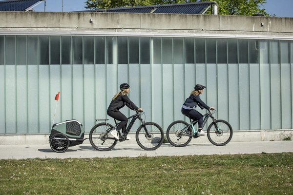 Przyczepka rowerowa dla psa - Thule Bexey L do 45 kg - Haze green