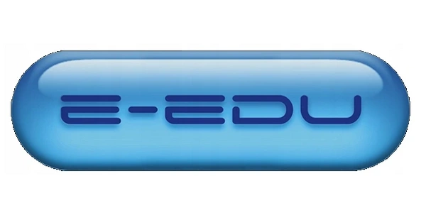 E-EDU układanka GUZICZKI księżniczki trening rączki