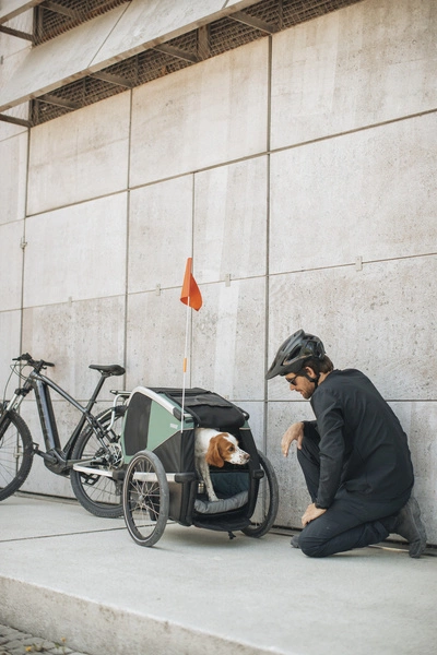 Przyczepka rowerowa dla psa - Thule Bexey M do 35 kg - Haze green