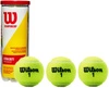 WILSON Championship Extra Duty PIŁKI DO TENISA 3szt