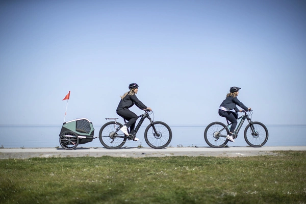 Przyczepka rowerowa dla psa - Thule Bexey L do 45 kg - Haze green