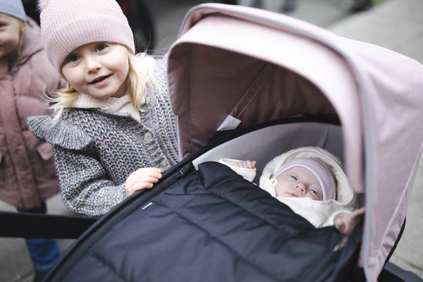 Thule Shine - Gondola