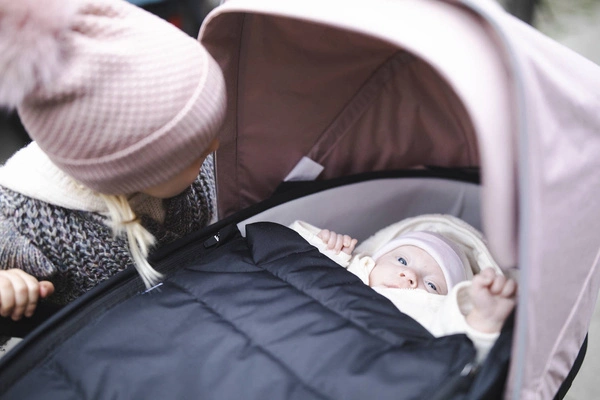 Thule Shine - Gondola