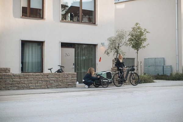 Przyczepka rowerowa dla psa - Thule Bexey L do 45 kg - Haze green