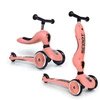 SCOOT AND RIDE HIGHWAYKICK 1 jeździk 2W1 hulajnoga