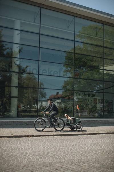 Przyczepka rowerowa dla psa - Thule Bexey L do 45 kg - Haze green