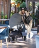 Wózek dziecięcy Carrello ULTRA 2w1 z gondola + torba + adaptery do 22kg