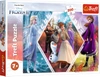 TREFL Disney Frozen II Puzzle Siostry w Krainie Lodu 200el Układanka 13249 7+