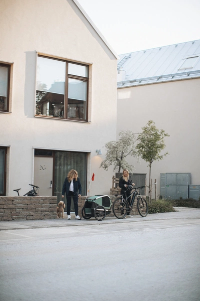 Przyczepka rowerowa dla psa - Thule Bexey M do 35 kg - Haze green