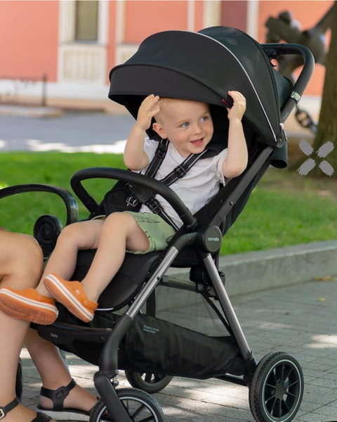 Wózek spacerowy do 22kg z pełnym wyposażeniem CARRELLO DELTA