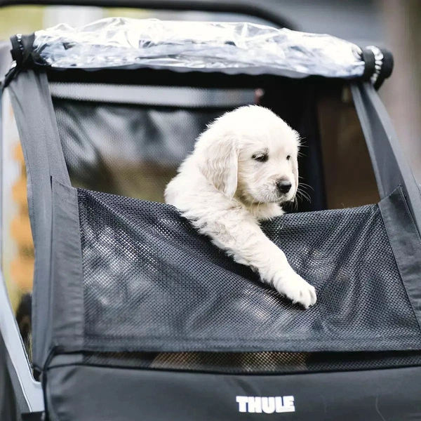 Zestaw do przyczepki dla psa - Thule Courier Dog Trailer Kit