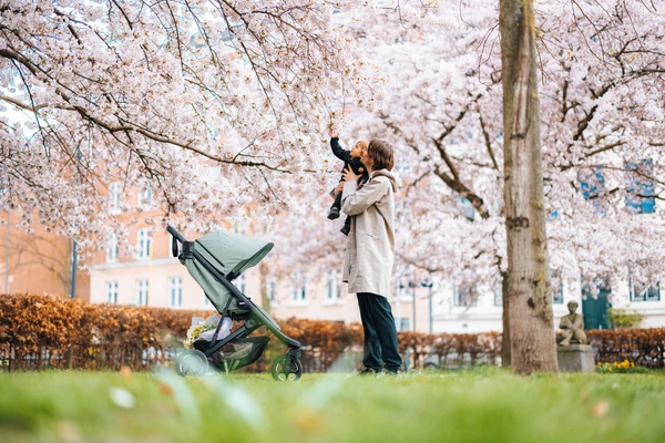 Wózek spacerowy Thule Spring 2 - Black/Mist Green