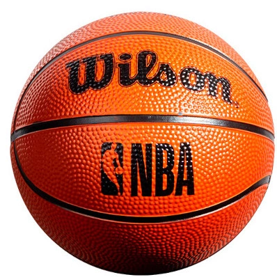 NBA Wilson Forge Mini Hoop - Black