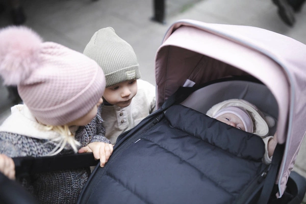 Thule Shine - Gondola