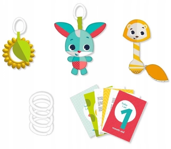 Tiny Love zestaw zabawek karty do zdjęć PREZENTOWY 0m+ Zabawa na łące