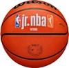 WILSON jr. NBA JUNIOR FAM Piłka do koszykówki kosza r. 5