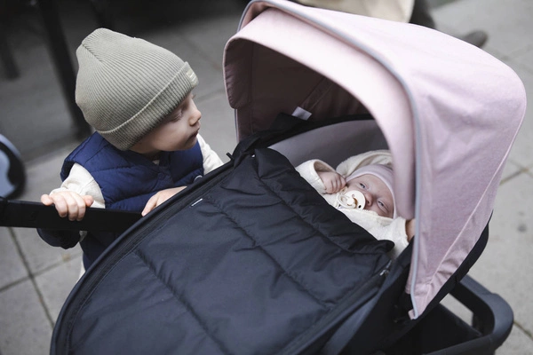 Thule Shine - Gondola