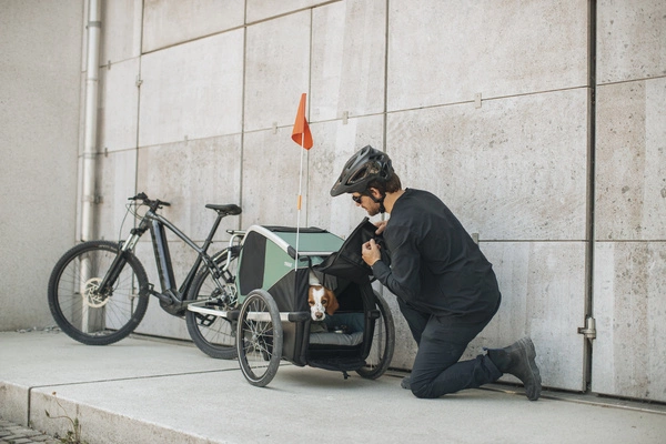 Przyczepka rowerowa dla psa - Thule Bexey L do 45 kg - Haze green