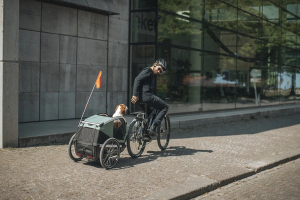 Przyczepka rowerowa dla psa - Thule Bexey M do 35 kg - Haze green