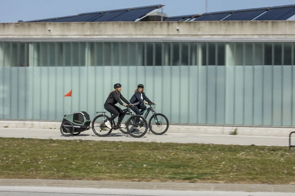 Przyczepka rowerowa dla psa - Thule Bexey M do 35 kg - Haze green